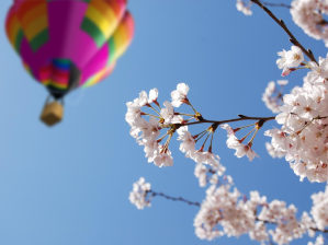 Hot air ballon and flowers. 